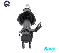 KAVO PARTS SSA-6508 Shock absorber