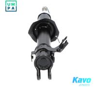 KAVO PARTS SSA-6508 Shock absorber