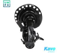 KAVO PARTS SSA-6519 Shock absorber