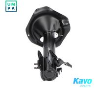 Kavo Parts Shock Absorber SSA-6522 – Front Axle Right Top Pin for Nissan X-Trail