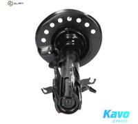 KAVO PARTS SSA-6528 Shock absorber