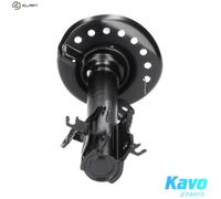 Shock absorber Front Axle Left Top pin SSA-6529 KAVO PARTS for NISSAN JUKE