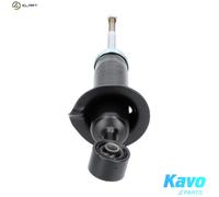 KAVO PARTS SSA-6532 Shock absorber