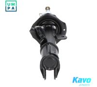 KAVO PARTS SSA-6534 Shock absorber