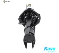 KAVO PARTS SSA-6535 Shock absorber