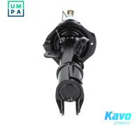 KAVO PARTS SSA-6535 Shock absorber