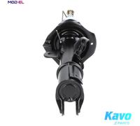 KAVO PARTS SSA-6535 Shock absorber