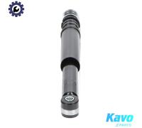KAVO PARTS SSA-6536 Shock absorber