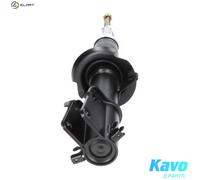 KAVO PARTS SSA-6537 Shock absorber