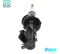 SHOCK ABSORBER SSA-6537 FOR RENAULT TRAFIC/III/Platform/Chassis/Van/Bus/Rodeo