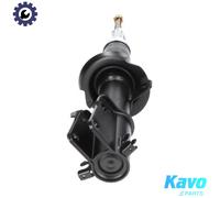 KAVO PARTS SSA-6537 Shock absorber