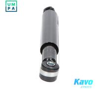 KAVO PARTS SSA-6543 Shock absorber