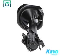 KAVO PARTS SSA-6561 Shock absorber