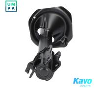 KAVO PARTS SSA-6562 Shock absorber