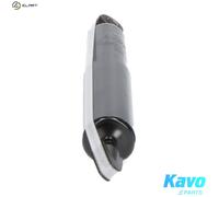 KAVO PARTS SSA-6565 Shock absorber