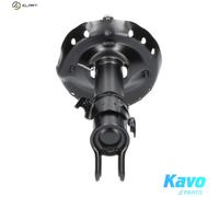 KAVO PARTS SSA-8004 Shock absorber