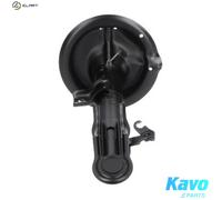 KAVO PARTS SSA-8503 Shock absorber