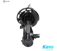 Kavo Parts Shock absorber SSA-8507 Front Right Top pin for Suzuki Swift III/IV/MK V 1.2L 4cyl