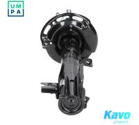 KAVO PARTS SSA-8508 Shock absorber
