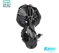 KAVO PARTS SSA-8510 Shock absorber
