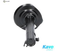 Shock absorber Front Axle Left Top pin SSA-9005 KAVO PARTS for CITROËN PEUGEOT