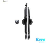 Kavo Parts Shock Absorber SSA-9008 - Toyota Land Cruiser Prado/90/Colorado Meru 3.0L 4cyl