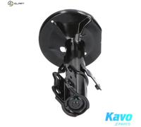 KAVO PARTS SSA-9030 Shock absorber
