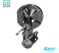Kavo Parts Shock Absorber SSA-9031 Front Axle Left Top Pin for Toyota Corolla/Altis