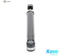 KAVO PARTS SSA-9041 Shock absorber