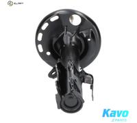 SHOCK ABSORBER SSA-9047 FOR TOYOTA COROLLA/ALTIS/iM/QUEST AURIS/VAN/Hatchback