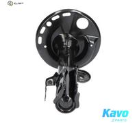 KAVO PARTS SSA-9049 Shock absorber