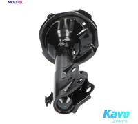 KAVO PARTS SSA-9053 Shock absorber
