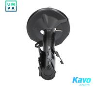 KAVO PARTS SSA-9054 Shock absorber