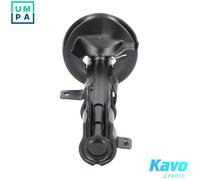 KAVO PARTS SSA-9081 Shock absorber