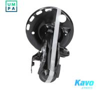 Shock absorber Front Axle Right Top pin SSA-9111 KAVO PARTS for TOYOTA PRIUS