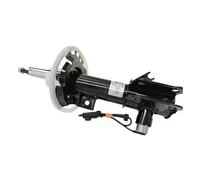 Shock Absorber Strut 2xFront Shock Absorbers Suspension Struct AST24690 AST24688 F2GZ-18124-AV For Lincoln MKX 2016 2017 2018 For Nautilus 2019 Air Suspension