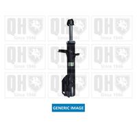 Quinton Hazell QAG181615 Shock Absorber