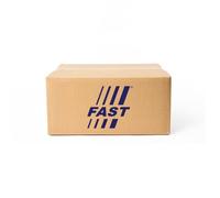 FAST FT11021 Shock absorber