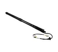 Shock Strut Rear Trunk Liftgate Power Hatch Lift Support Opener For Toyota For RAV4 For RAV-4 2019-2022 Electric Tailgate Gas Struts 6891042060 Gas Lift Struts(Rear Right RH)