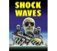 Shock Waves