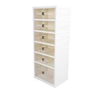 Shoe Cabinet, Thickened ABS PP Pet Pet Petralente Faltable Wish Clever for the Switch (1 Tall 5 Short)