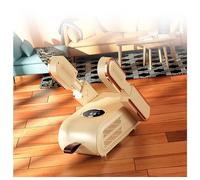 Shoe Dryer Foldable, Glove Dryer Foldable Expandable with Blu-Ray/3 Modes Timer, Portable Boot Dryer Boots Dryer for Different Types of Footwear