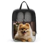Shoe Organizer with Handle Travel Bags Portable Travel Shoe Storage Bag Travel Cute Pomeranian Dog Printed Shoe Bags for Men Women, style, One Size, Shoe Bags