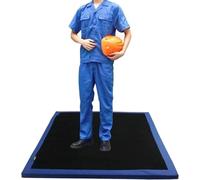 Shoe Sanitizer Mat, Shoe Solesdisinfecting Floor Mats, Entry Disinfect Doormat, Sponge Entrance Foot Mat for Hospital Laboratory Indoor Outdoor Animal Husbandry for Outdoor Household Hotel.(Large)