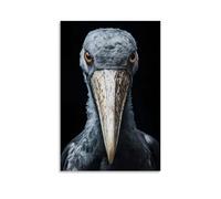 Shoebill Stork Bird Wall Art Poster, Glossy Canvas Art Print, Modern Decorative Wall Art for Living Room Bathroom Kitchen Room 16x24inch(40x60cm)
