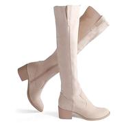 Shoe'N Tale Women's Over The Knee Thigh High Chunky Heel Pointed Toe Faux Suede Side Zipper Fall Weather Winter Boots, A-beige, 6 UK