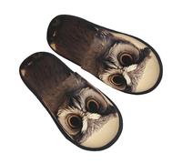 Shoes Cute Owl Lightweight Cotton Slippers Comfy Slippers For Bedroom Winter Big Kid M
