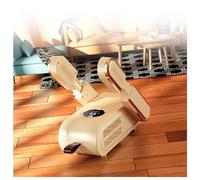 Shoes Dryer Portable, Boots Dryer Foldable Expandable with Blu-Ray/3 Modes Timer, Shoe Rack for Dryer Sneaker Dryer for Different Types of Footwear