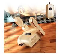 Shoes Dryer Portable, Glove Dryer Foldable Expandable with Blu-Ray/3 Modes Timer, Electric Boot Dryer Boxing Gloves Dryer for Ski Boots,Glove,Helmet