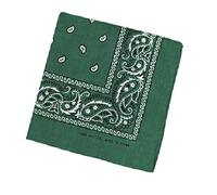 SHOES LANE® Cotton Bandana Paisley Mouth Protection Neckwear Head Scarf Wrap Band (Dark Green)